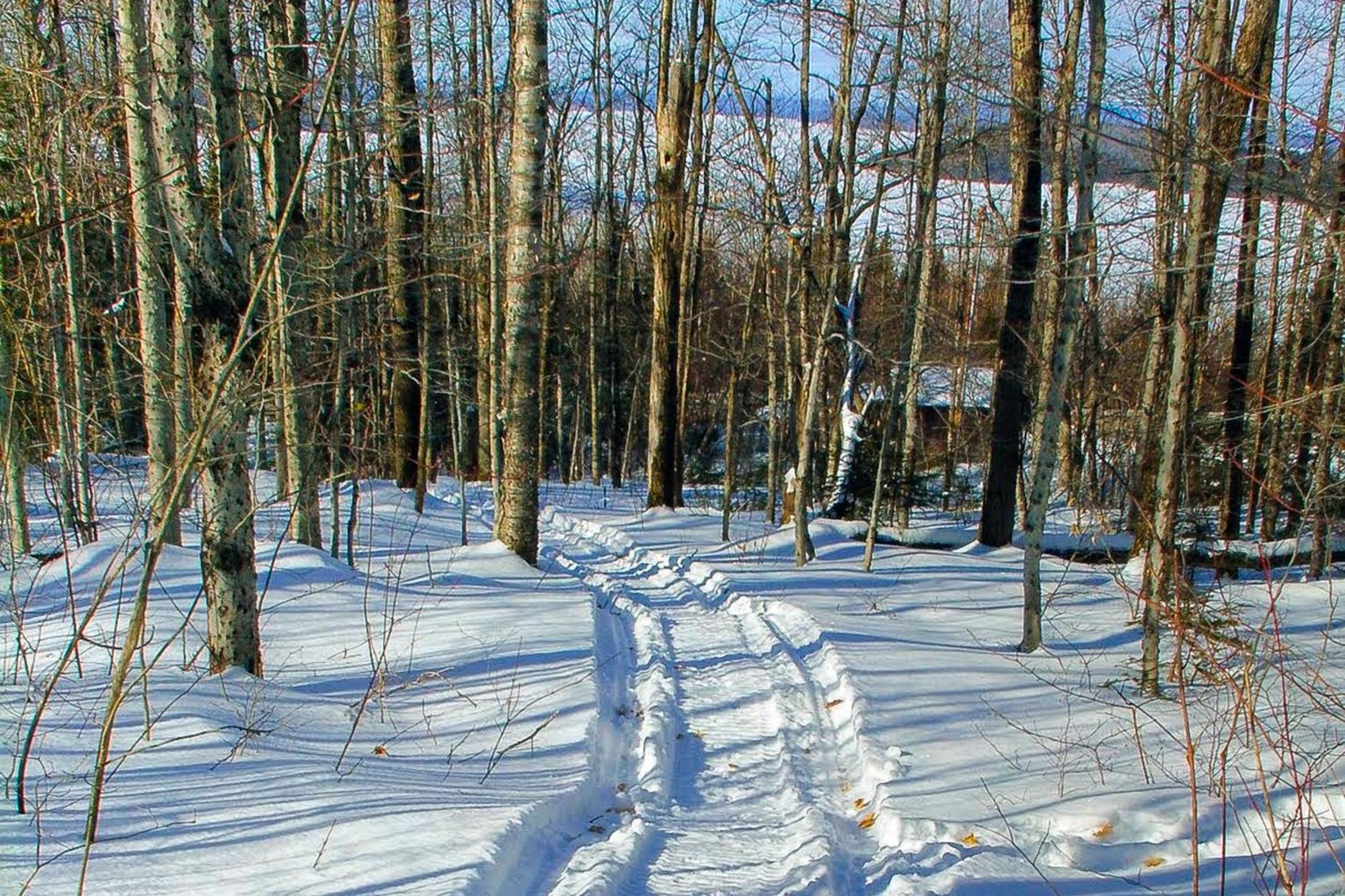 Вилла Eagle'S Nest Гринвилл Экстерьер фото